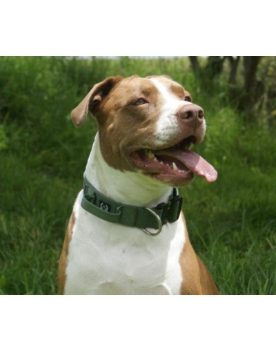 collar táctico verde