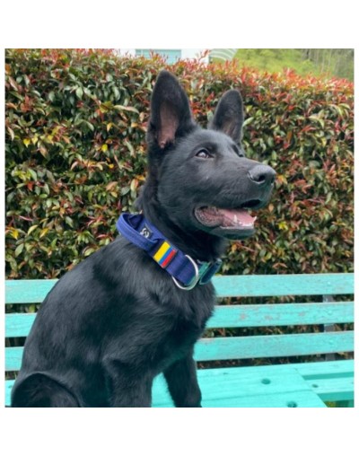 collar táctico azul