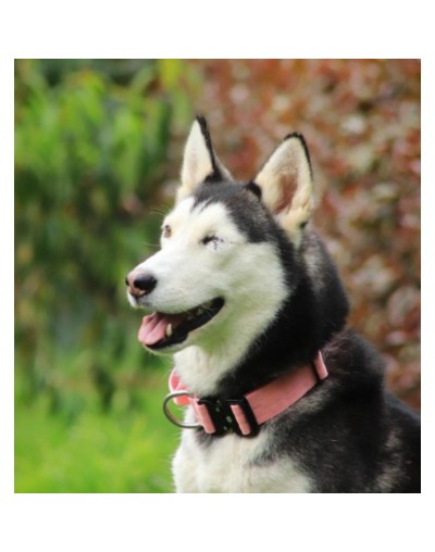 collar táctico rosado