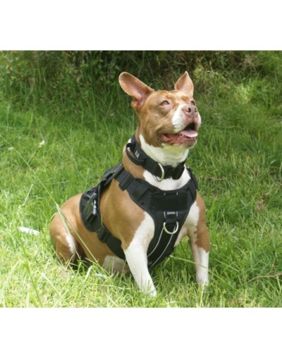 Arnés Táctico K9 Negro