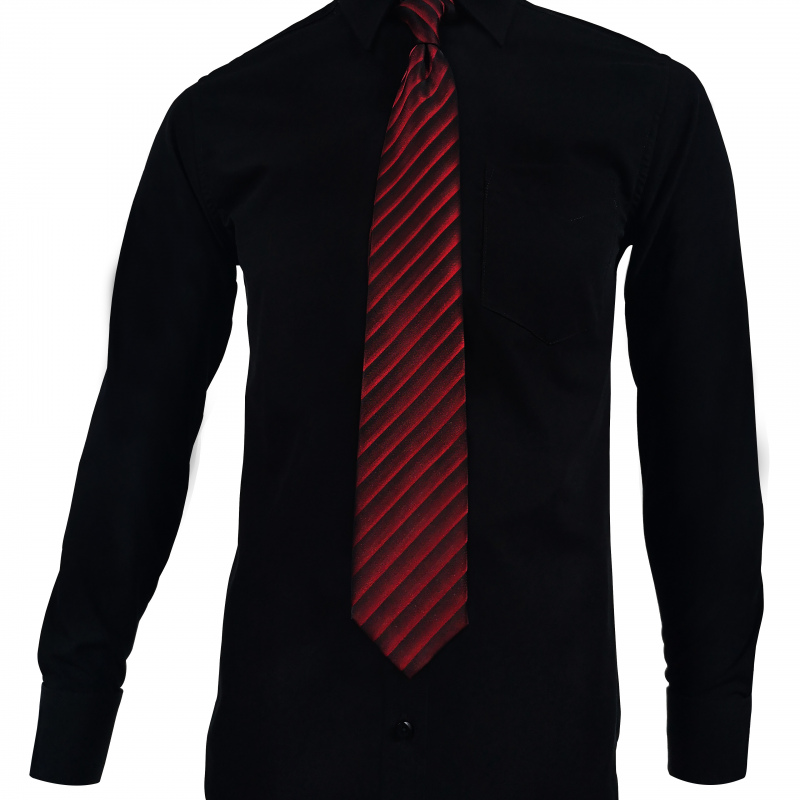 Camisa formal negra slim algodón unicolor manga larga