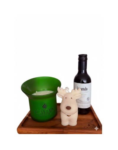 KIT DE ILUMINACIÓN NAVIDEÑO