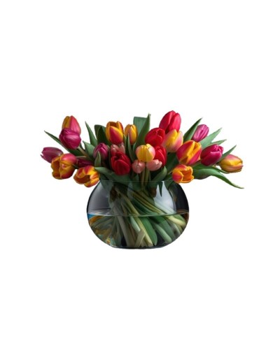 Jardín de Tulipanes