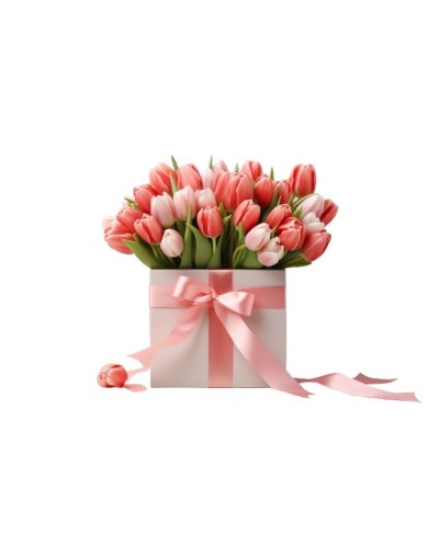 Tulipanes en Primavera