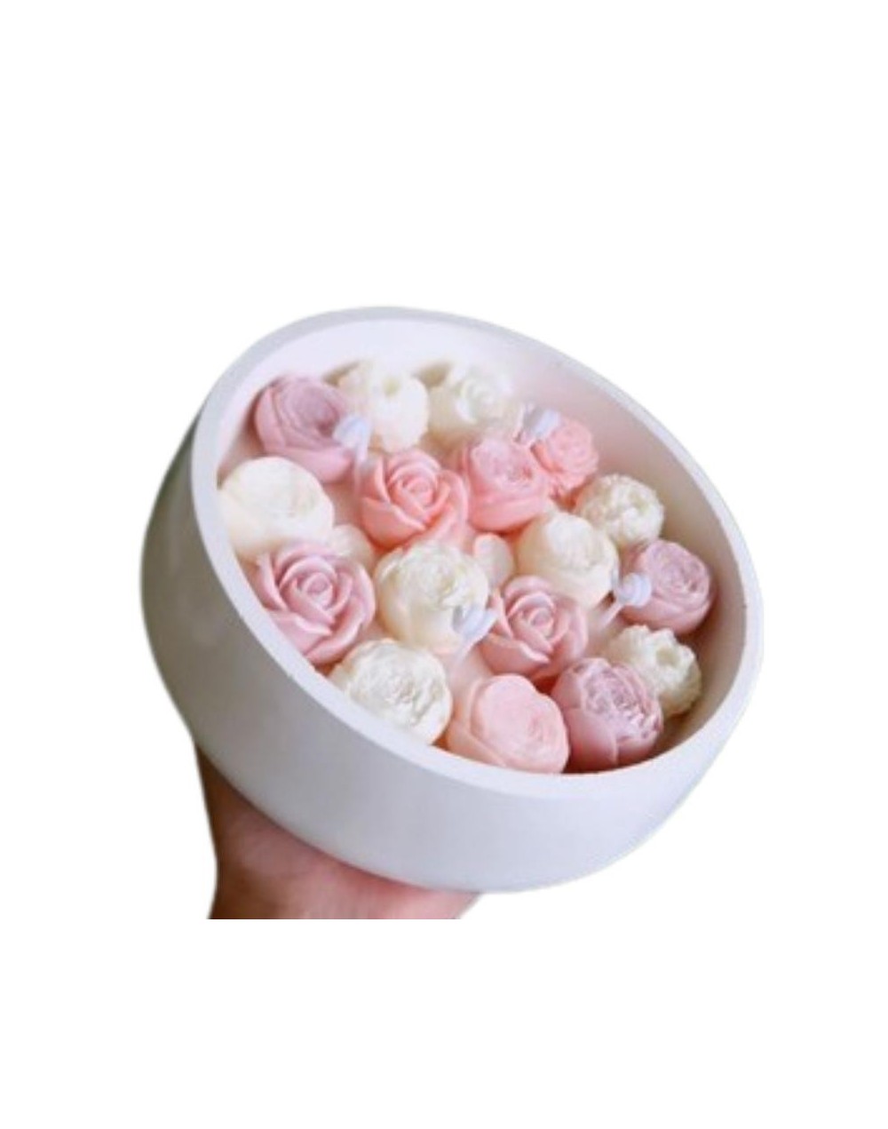 vera recipiente extra grande