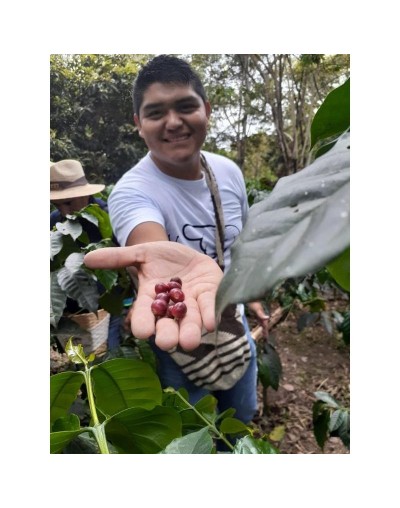 Experiencia Cafetera Hacienda Coloma