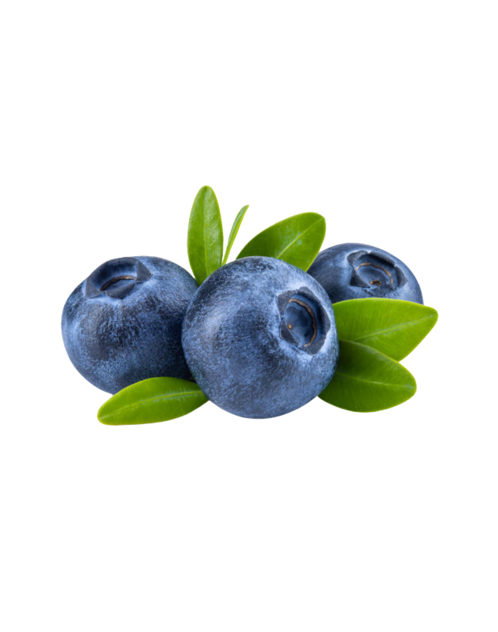 Arándanos AlunaBlue