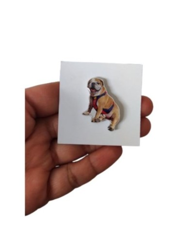Pin mascotas Personalizado