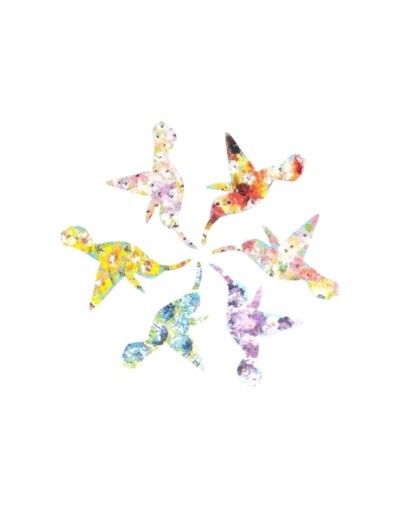 Imanes al óleo sobre lienzo, colibrí colombiano   unidad Flora Óleo