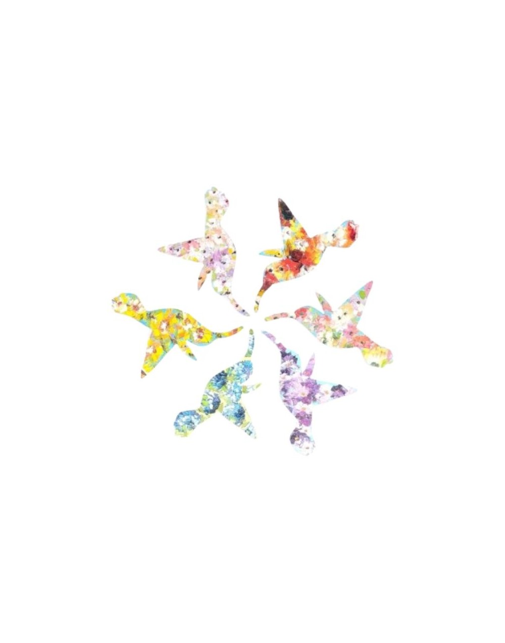 Imanes al óleo sobre lienzo, colibrí colombiano   unidad Flora Óleo