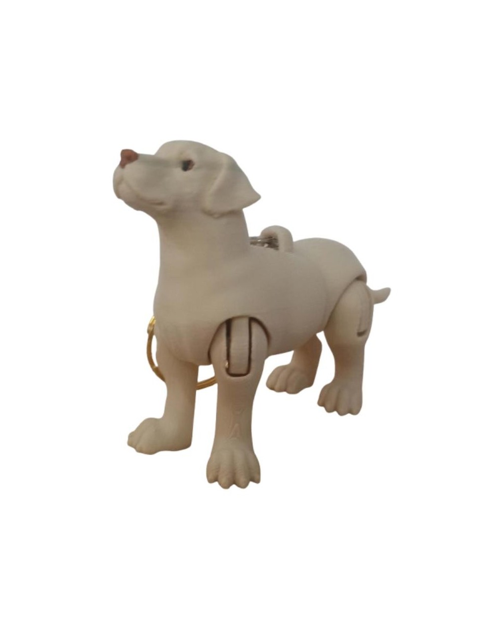 Llavero Articulado Labrador Personalizado