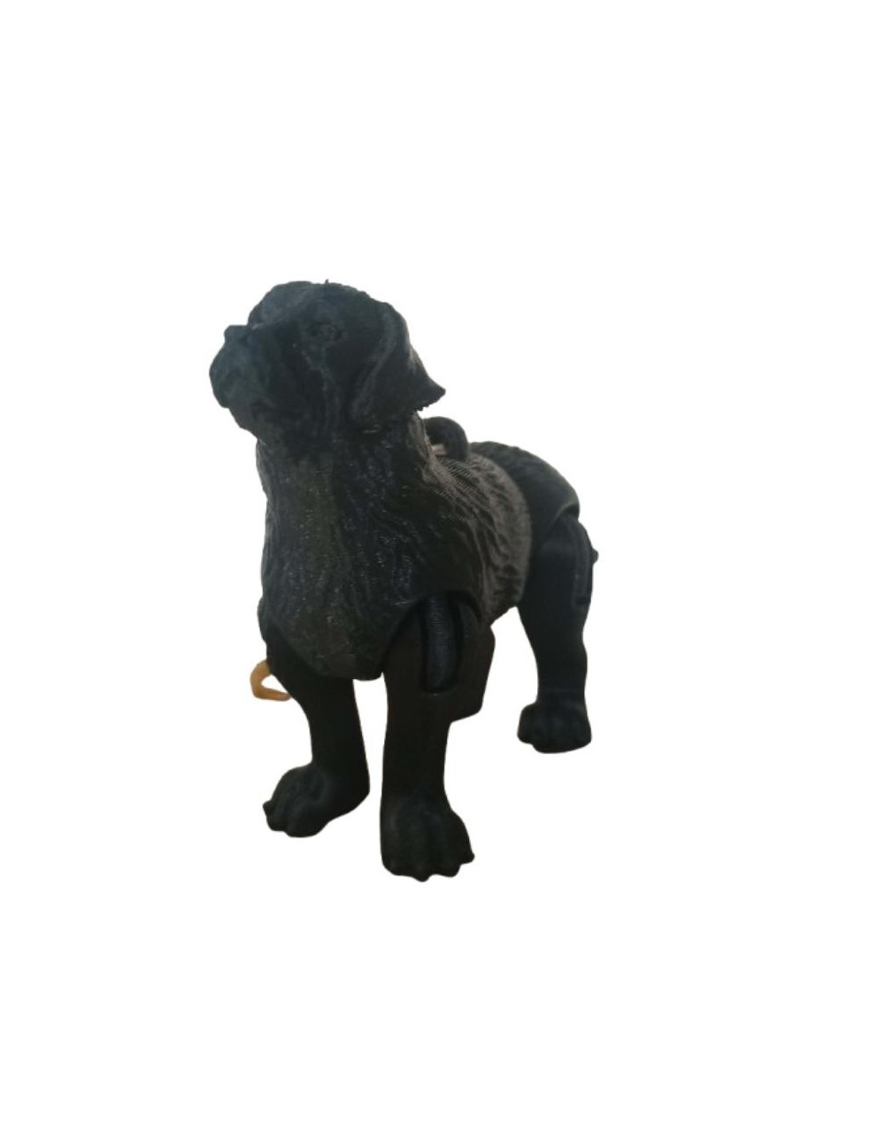 Llavero Articulado Golden Retriever Personalizado