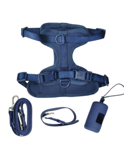 Kit de paseo para mascota Moots Mascotas