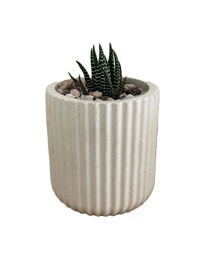 Acanalada Alta Marfil