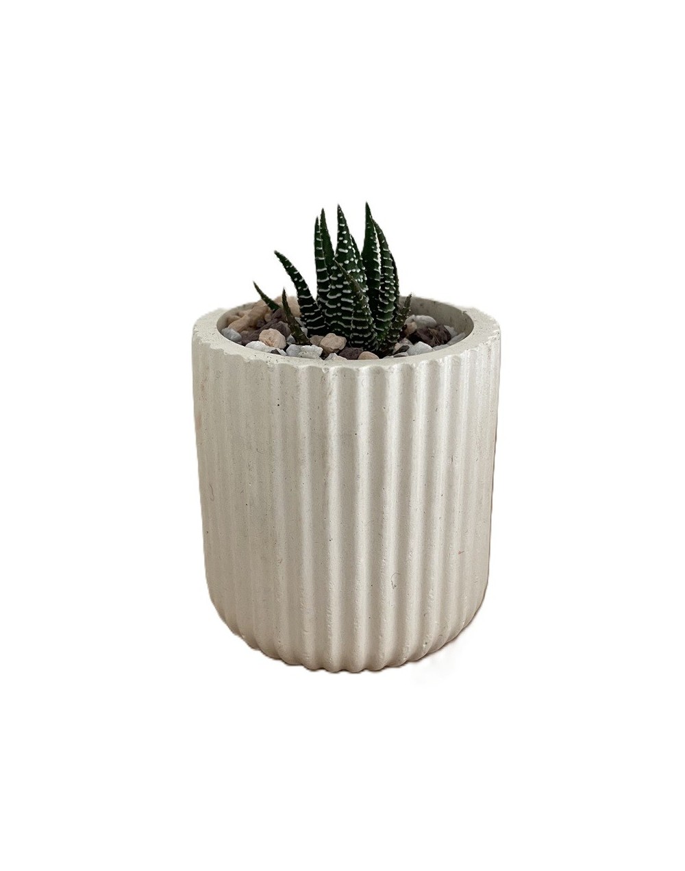 Acanalada Alta Marfil