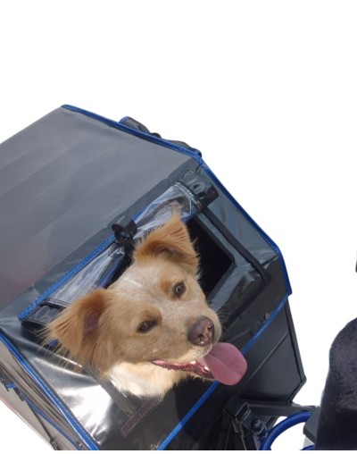 ST Mascotas Campero L Sencillo