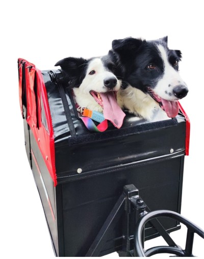 ST Mascotas Campero L Doble