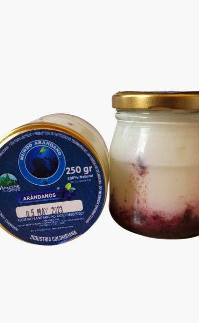 Yogurt griego de arándano sin azúcar de 250ml 100 natural 