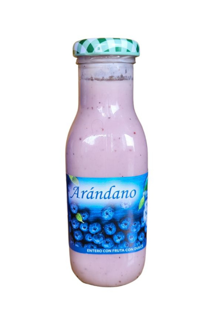 Yogurth de arandano sin azucar de 250ml 100% natural