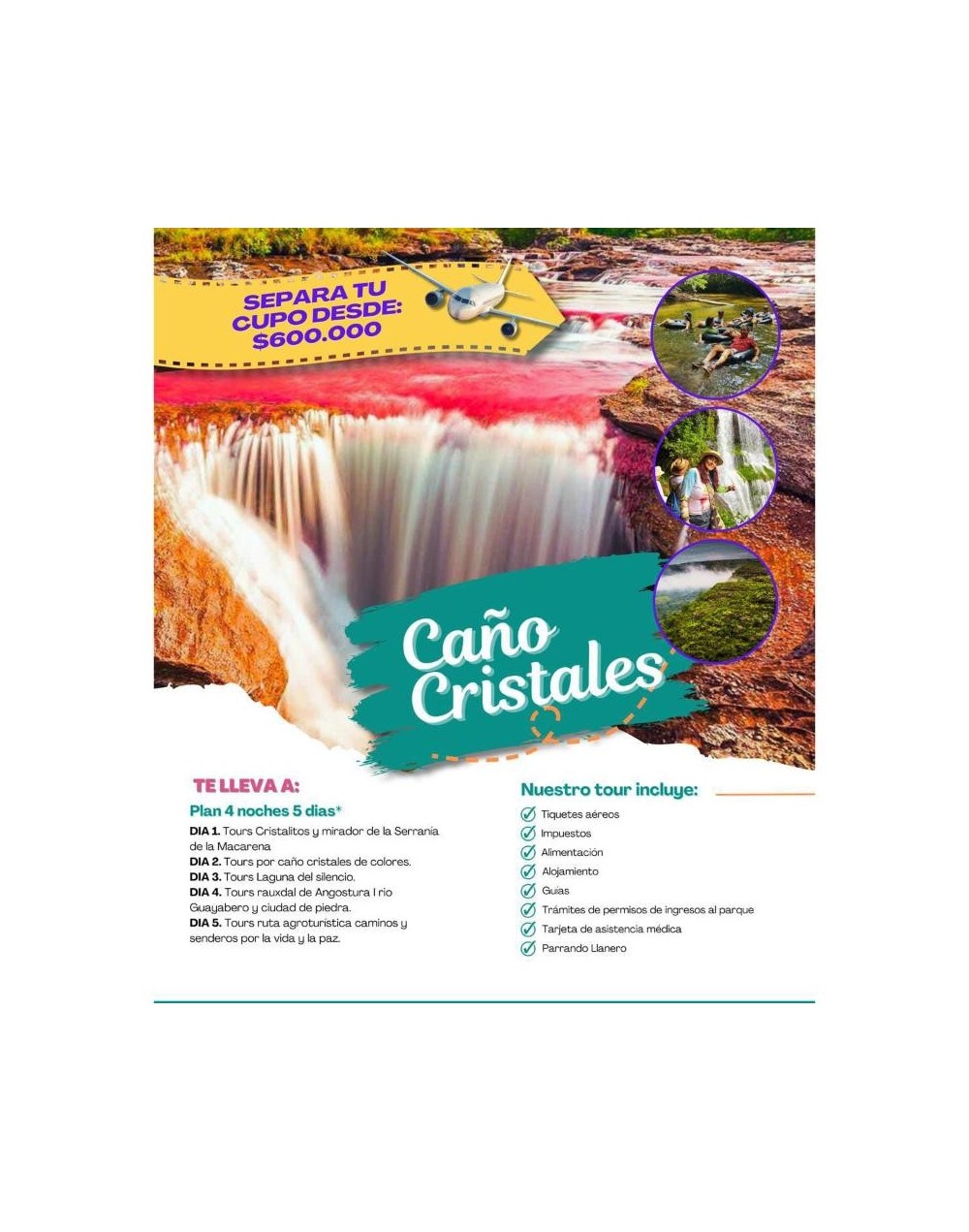 Caño Cristales  destino por persona  Paraiso Travel Agencia de Viajes