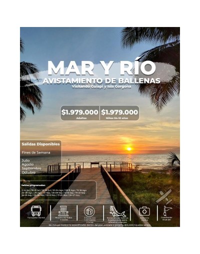 Avistamiento de ballenas destino  por persona   Paraíso Travel Agencia de Viajes