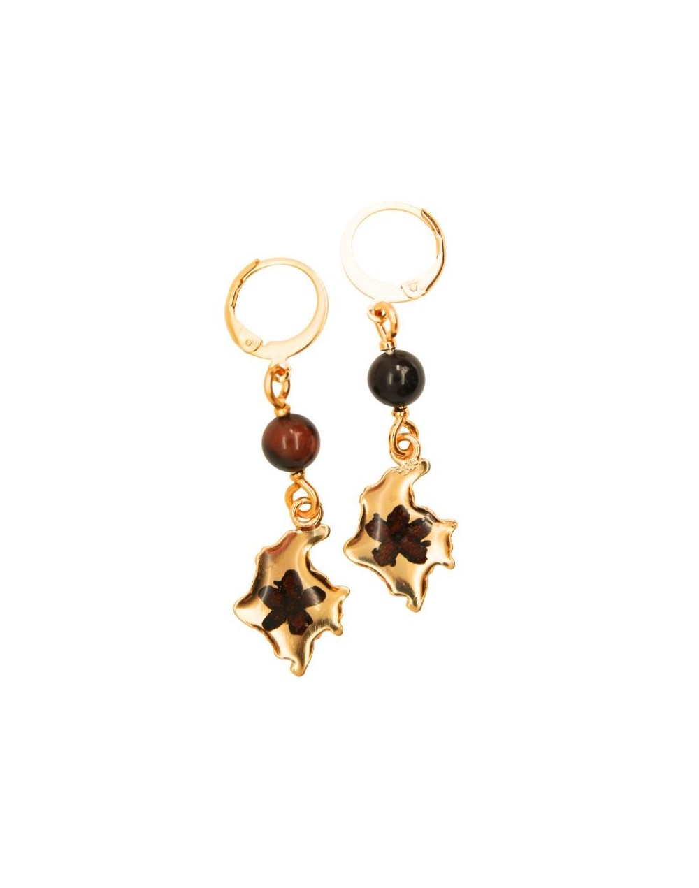Aretes Mapa Largos
