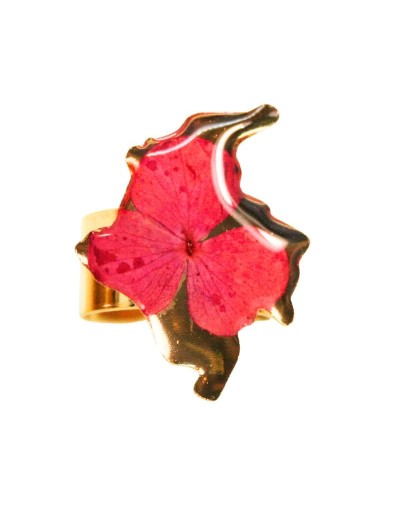 Anillos Mapa de Colombia
