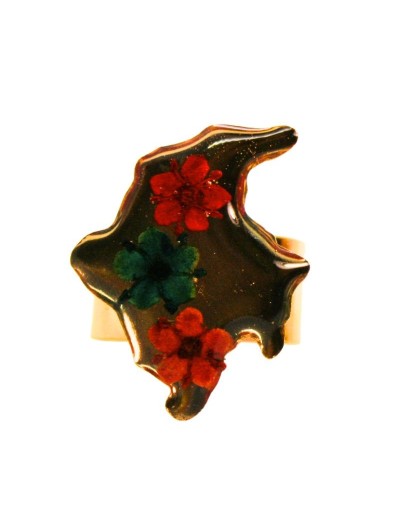 Anillos Mapa de Colombia