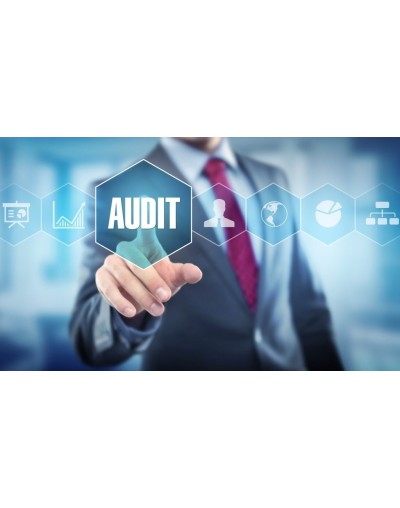 Auditorías Internas Integrales
