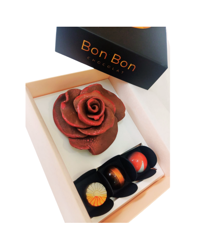 Caja de bombones Encanto de cacao en chocolate