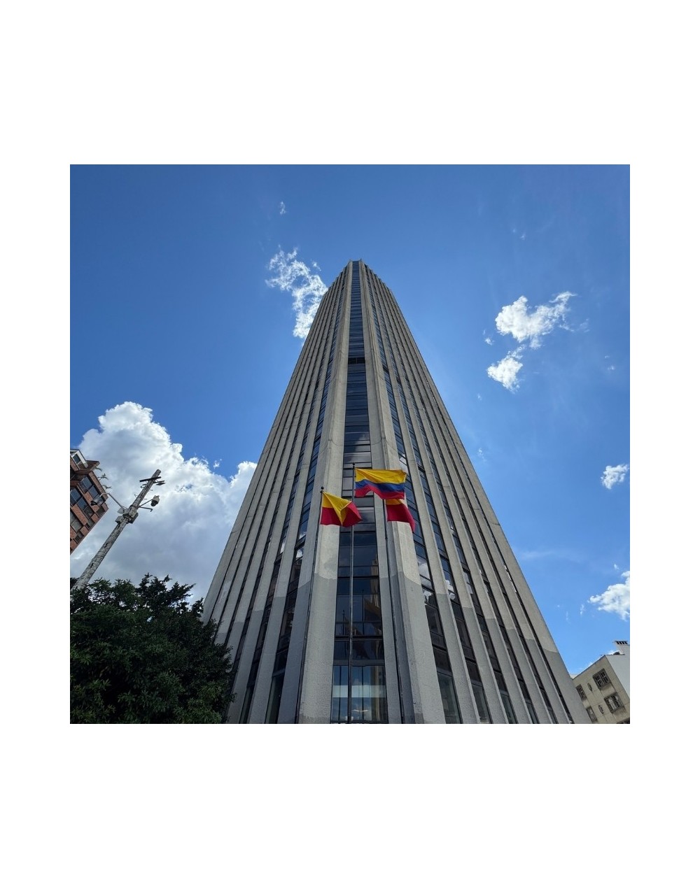 Museo Vertical Y Plataforma 360