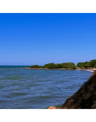 Tolú Y Coveñas Al Natural
