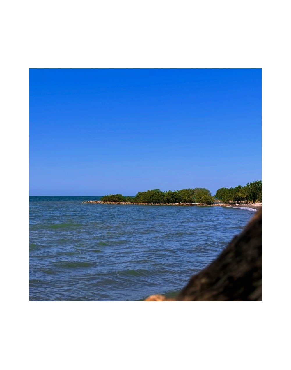 Tolú Y Coveñas Al Natural