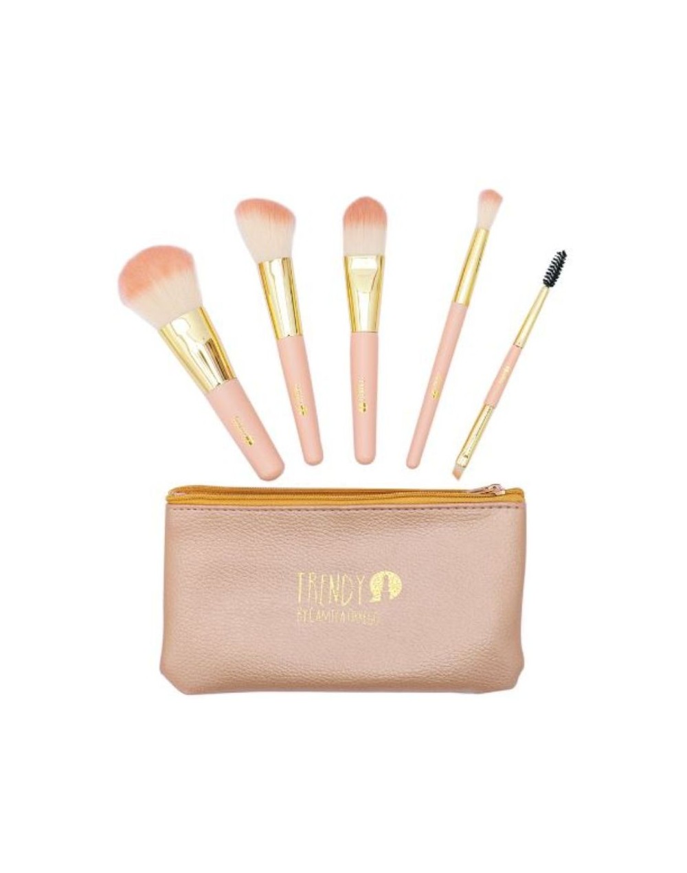 KIT DE BROCHAS ROSA TRENDY X5