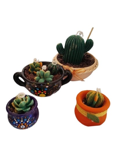 Velas  Terrarios de suculentas Unidad  Zen Craft 