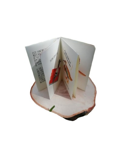 fanzine Aves Bogotanas