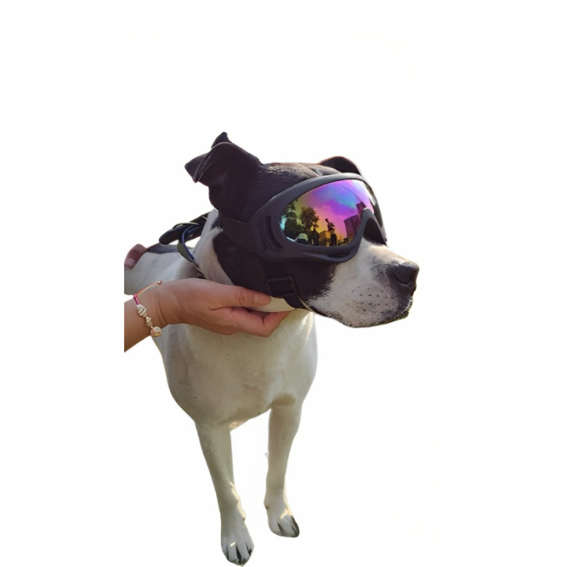 Gafas para perros de raza grande con protección UV 400