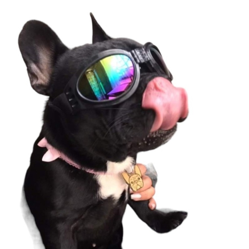 Gafas para Perros con Protección UV 400