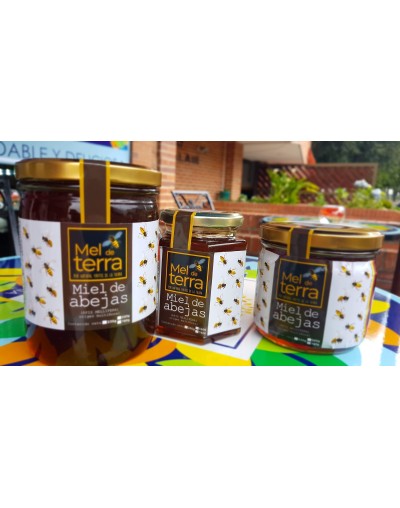 Miel de abejasMel de terra