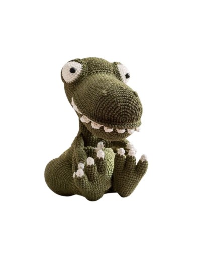 Theo T-rex amigurumi