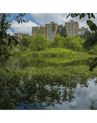 Circuito City Tour Humedales de Bogotá