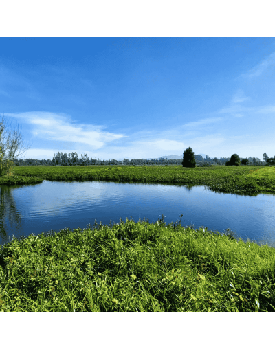Circuito City Tour Humedales de Bogotá