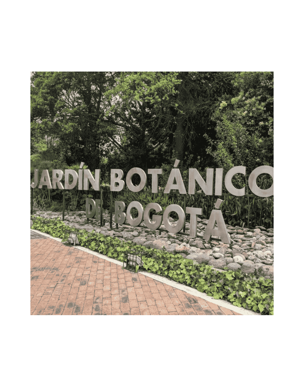 Explora La Magia del Jardín Botánico