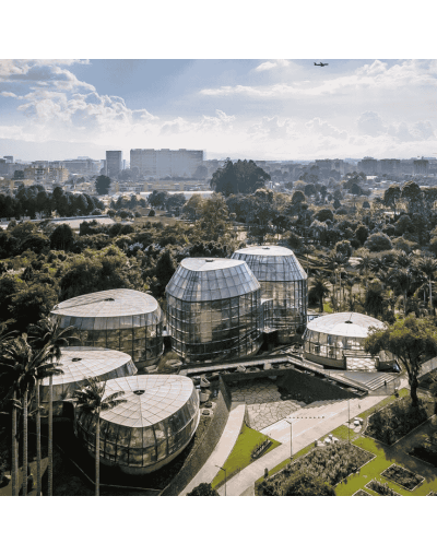 Explora La Magia del Jardín Botánico