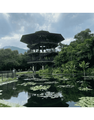 Explora La Magia del Jardín Botánico