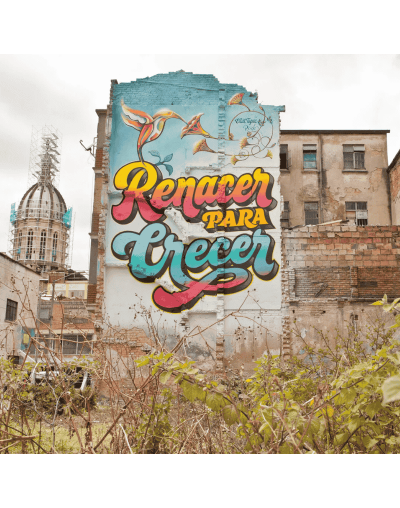 Sumérgete en el Arte y Creatividad del Distrito Creativo San Felipe