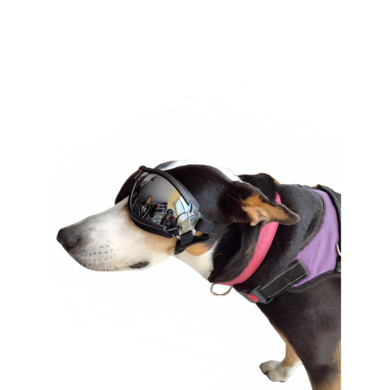 Gafas Pro para perros con lente tipo espejo 