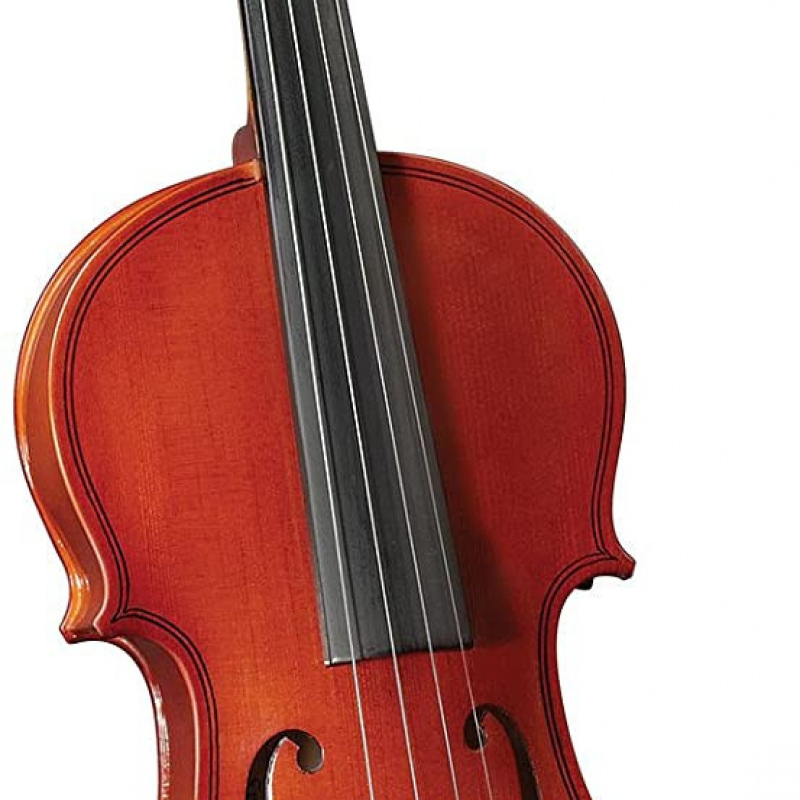 Violin cervini hv50  44