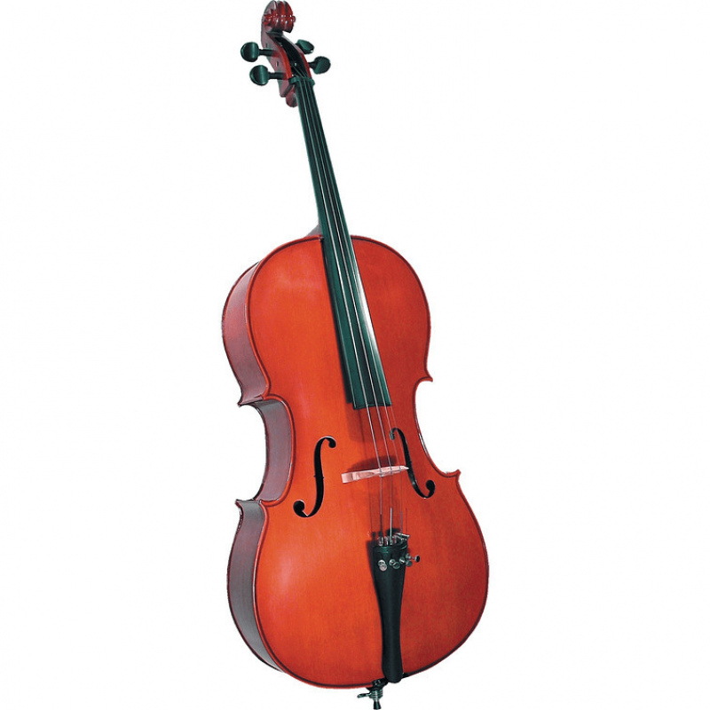 Cello cervini hc100 34