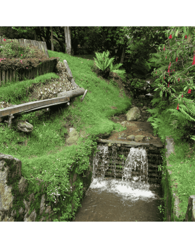 SENDERISMO 🥾 QUEBRADA LA VIEJA